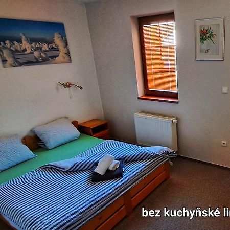 Hotel Penzion Sunski Harrachov Exterior foto